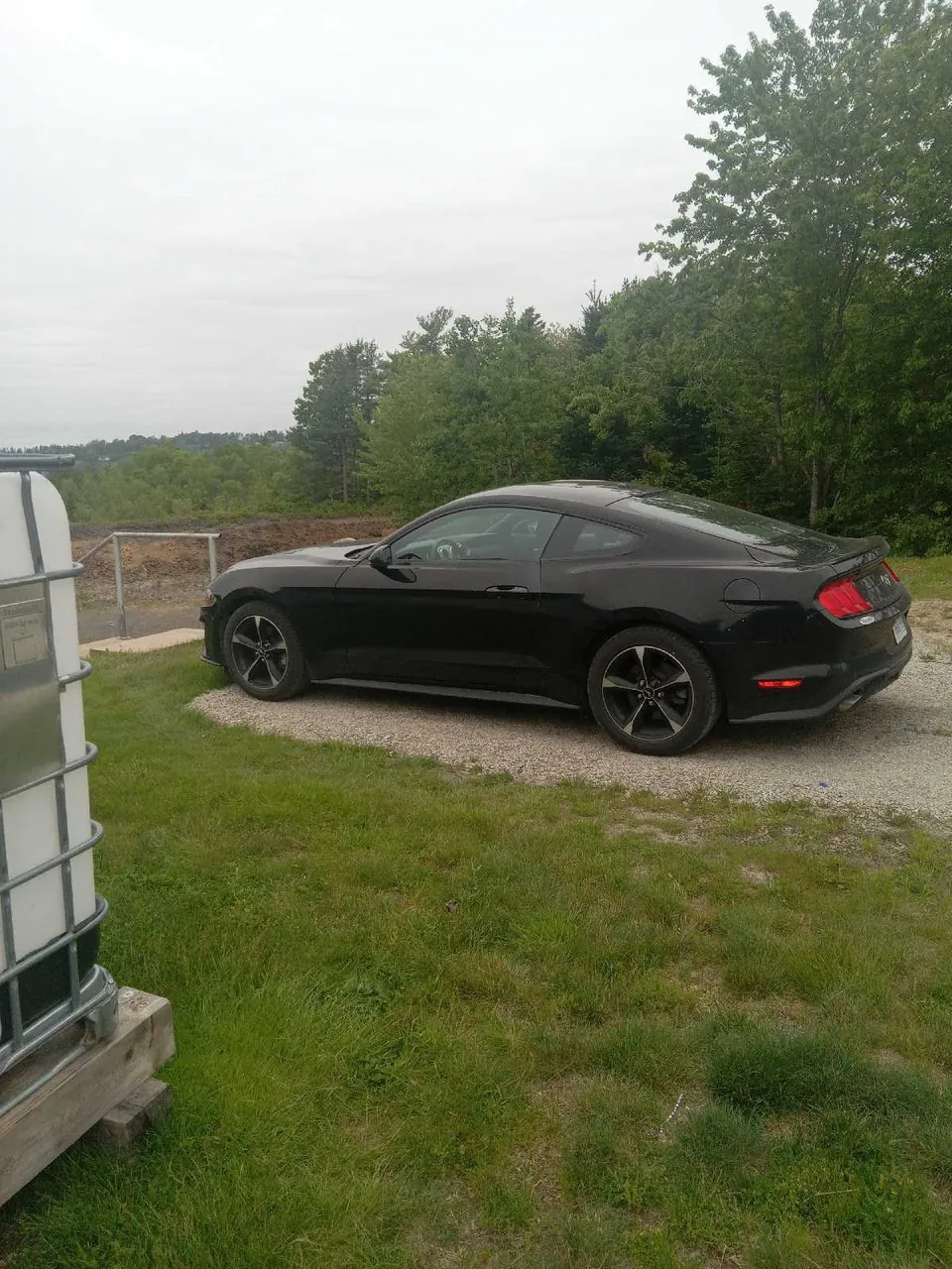 Ford Mustang 2019 photo 3