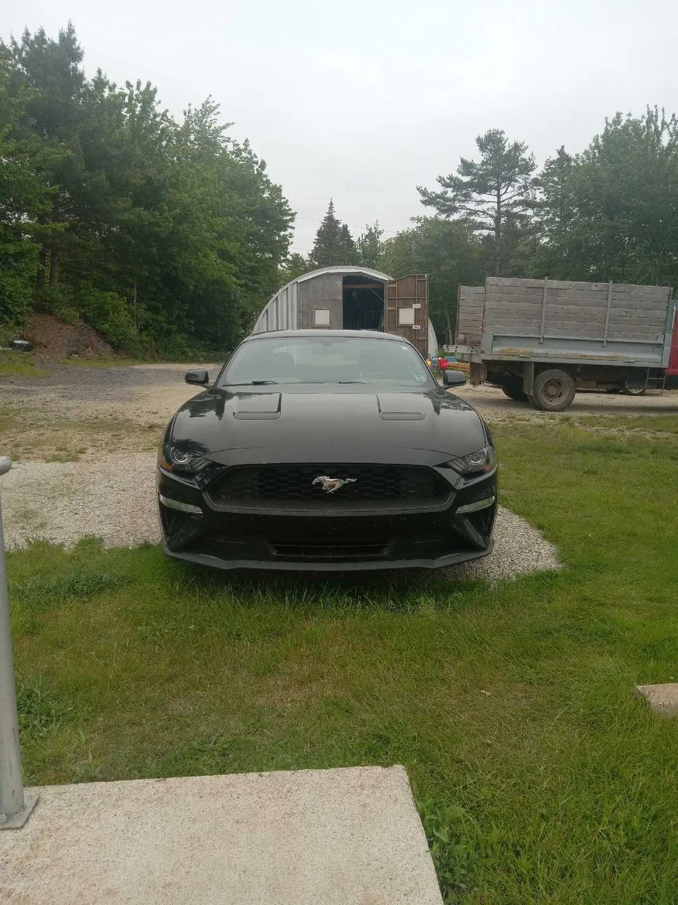Ford Mustang 2019 photo 2