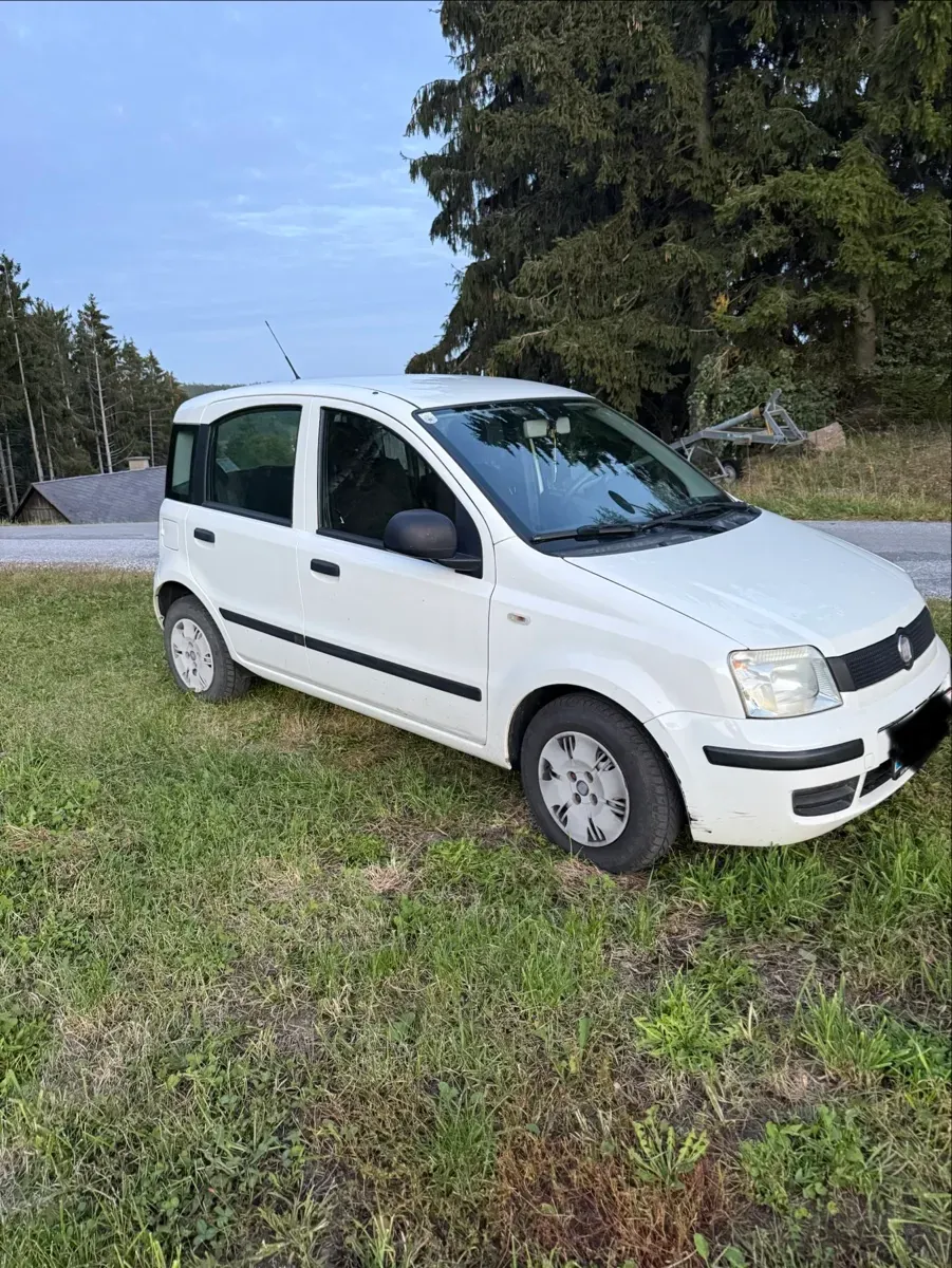Fiat Panda 2010 photo 3