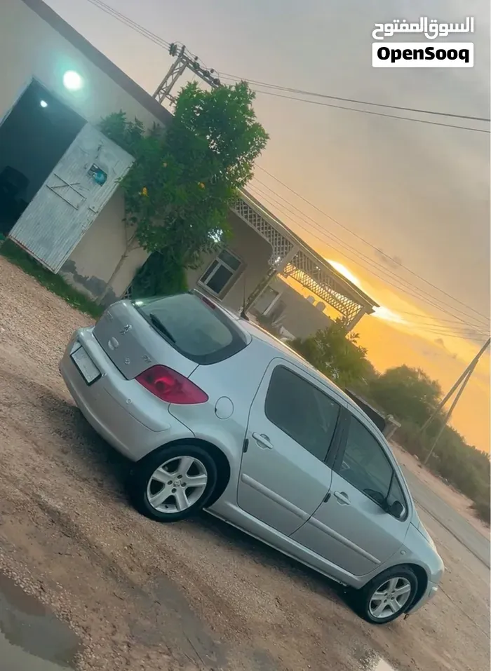 Peugeot 307 2006 photo 2