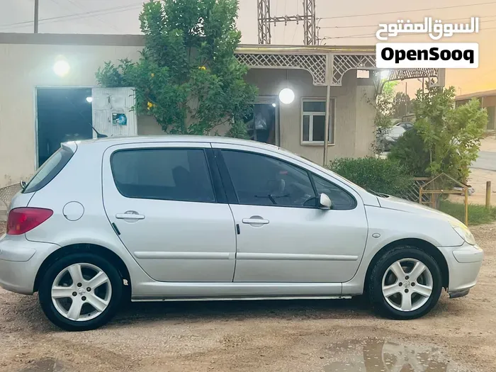 Peugeot 307 2006 photo 3