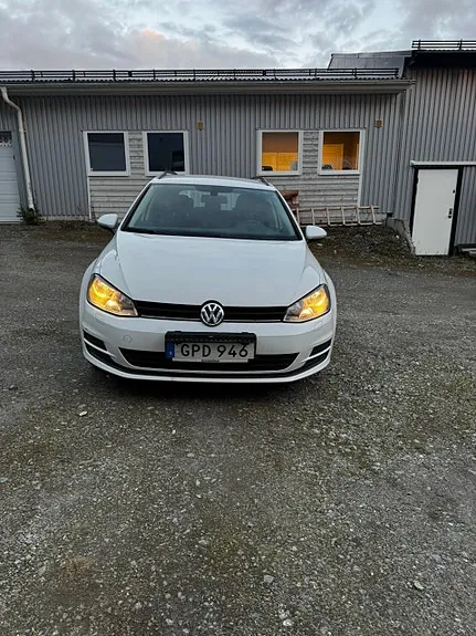 Volkswagen Golf Vii 2015 photo 2
