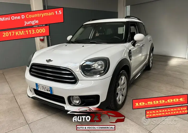 Mini Mini Countryman