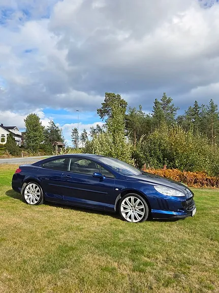 Peugeot 407