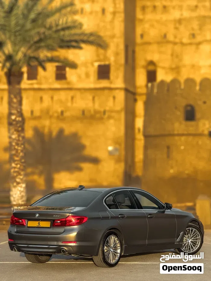 BMW 5 Series 2019 photo 4