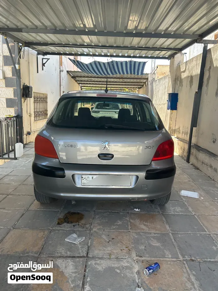 Peugeot 307 2004 photo 3
