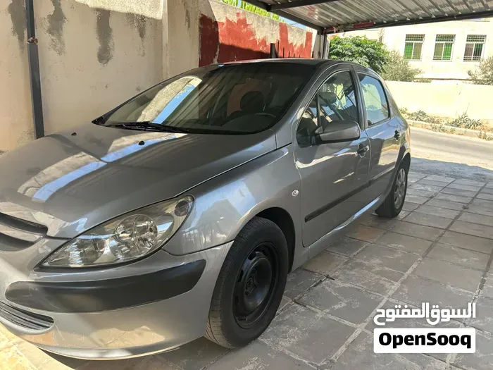 Peugeot 307 2004 photo 4
