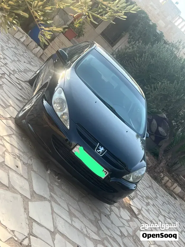 Peugeot 307 2004 photo 5