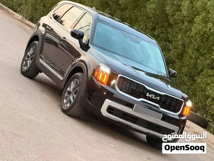 Kia Telluride 2024 photo 3