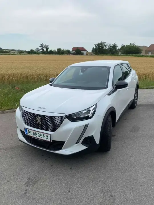 Peugeot E-2008