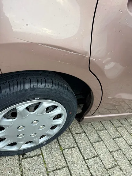 Suzuki Alto 2010 photo 4