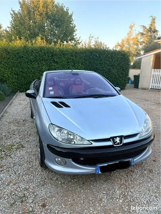 Peugeot 206 2002 photo 2