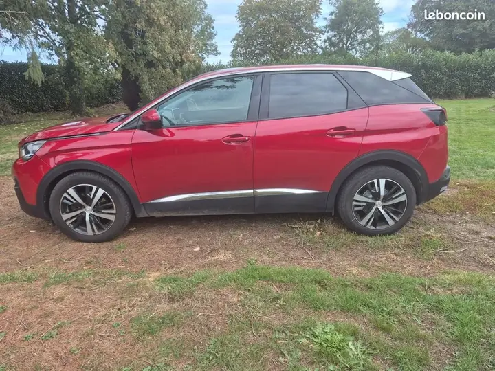 Peugeot 3008 2019 photo 2