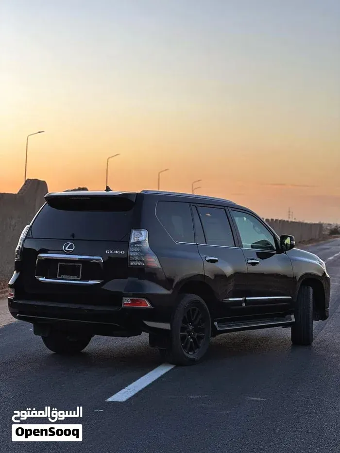 Lexus Gx 460 2023 photo 3