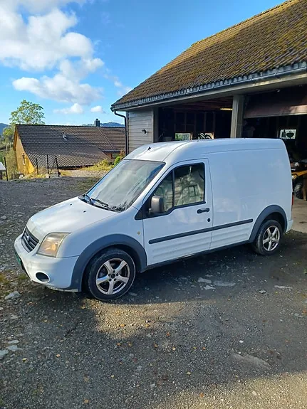 Ford Transit Connect 2010 photo 2