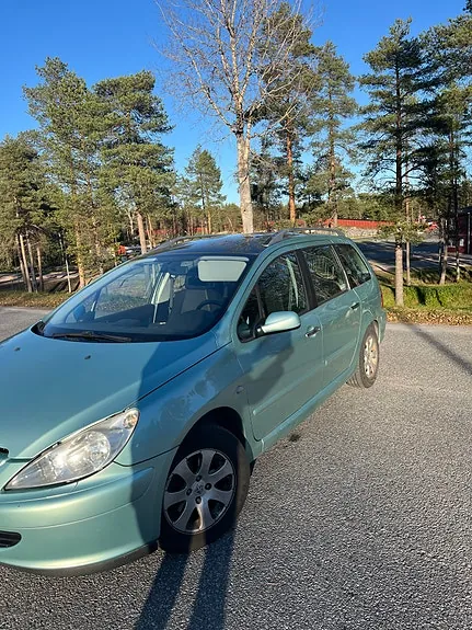 Peugeot 307 Sw 2003 photo 2