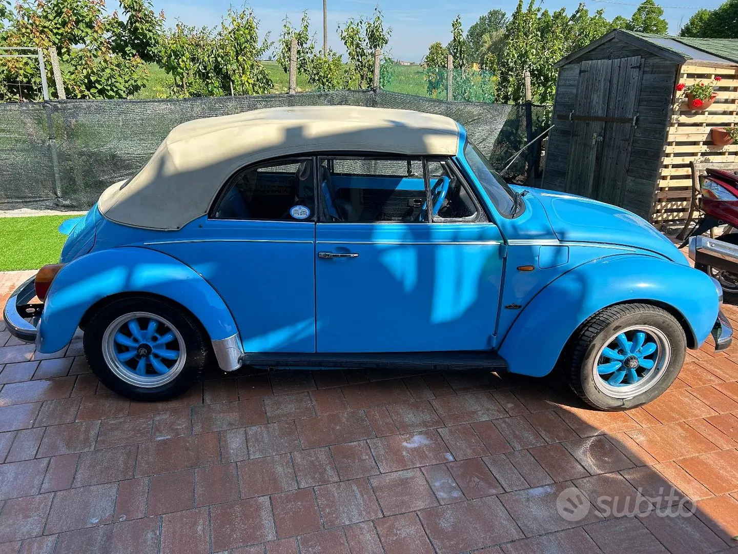 Volkswagen Beetle