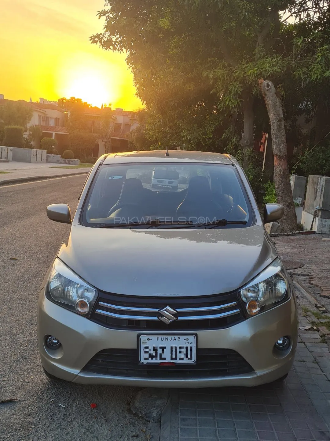 Suzuki Cultus