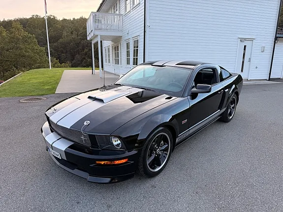 Ford Mustang 2007 photo 2