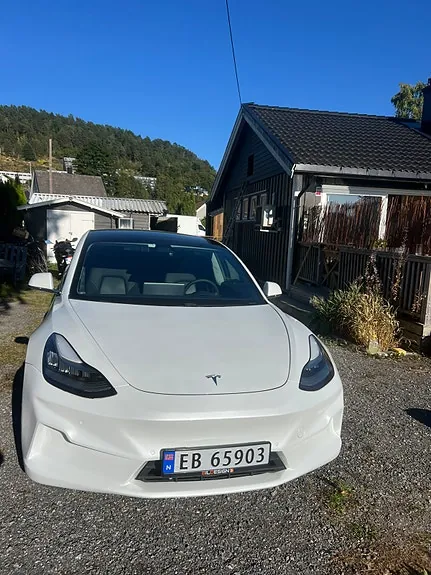 Tesla Model 3 2020 photo 2