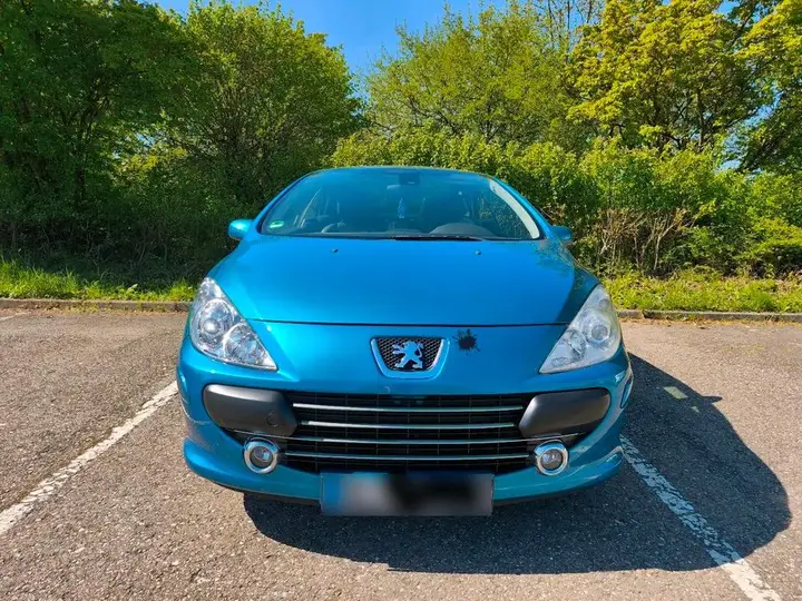Peugeot 307 Cc Cabrio