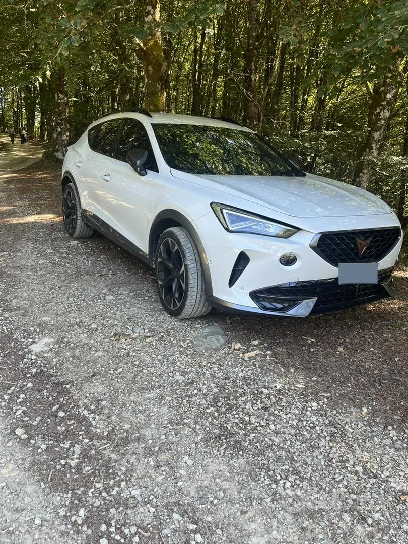 Cupra Formentor 2022 photo 2