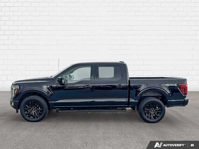 Ford F-150 2024 photo 3