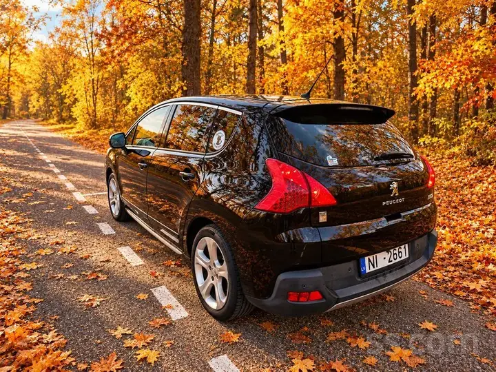 Peugeot 3008 2012 photo 3