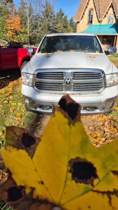 Ram 1500 2013 photo 2