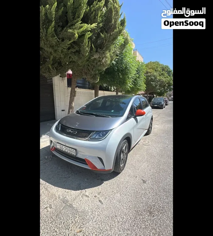 BYD Dolphin 2022 photo 2