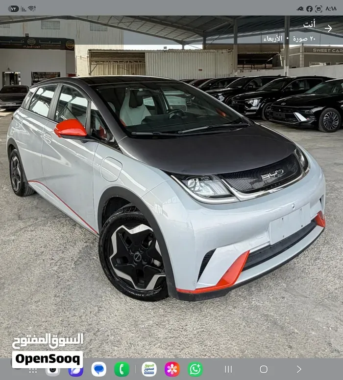 BYD Dolphin