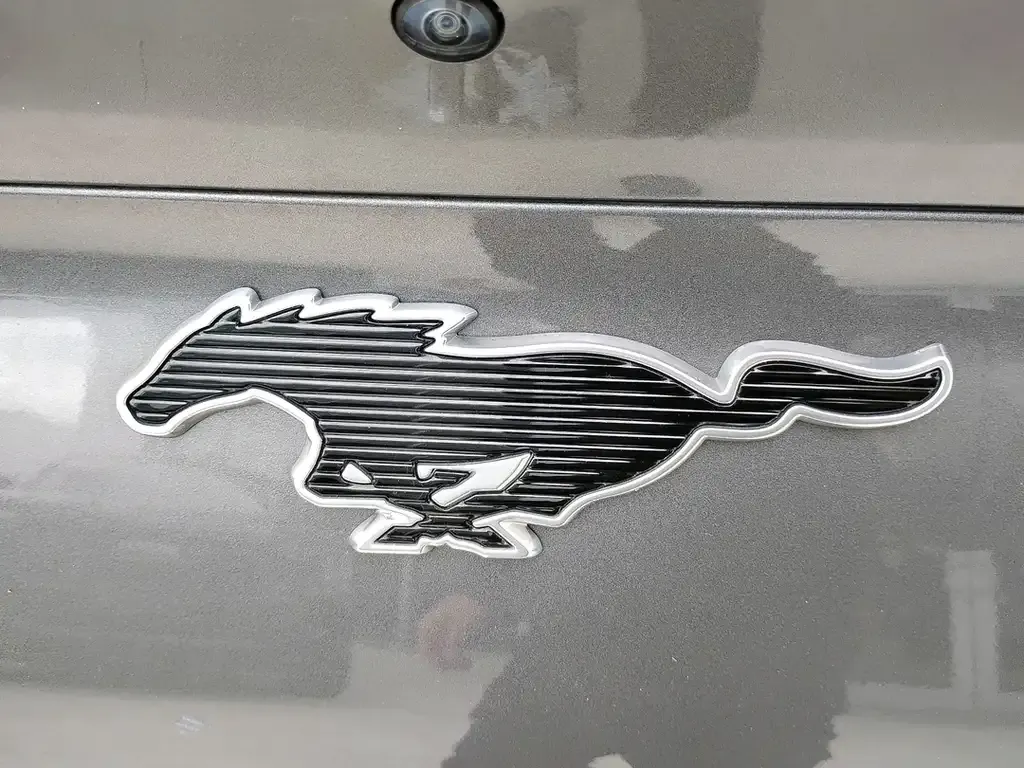 Ford Mustang Mach-E 2021 photo 5