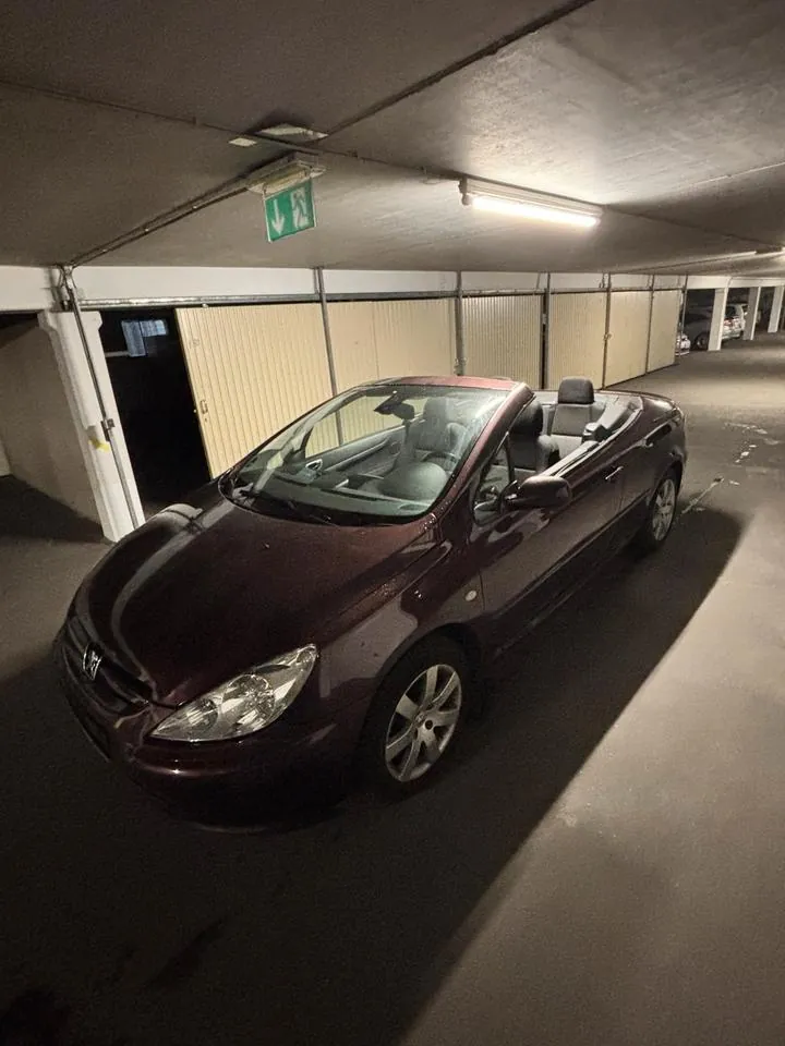 Peugeot 307 Cc Cabrio