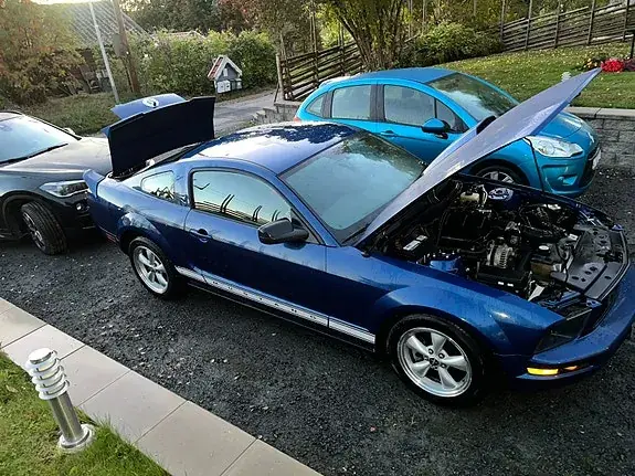 Ford Mustang 2008 photo 2