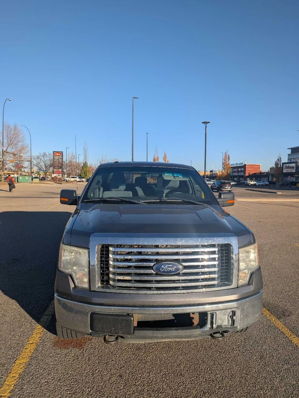 Ford F-150 2011 photo 3