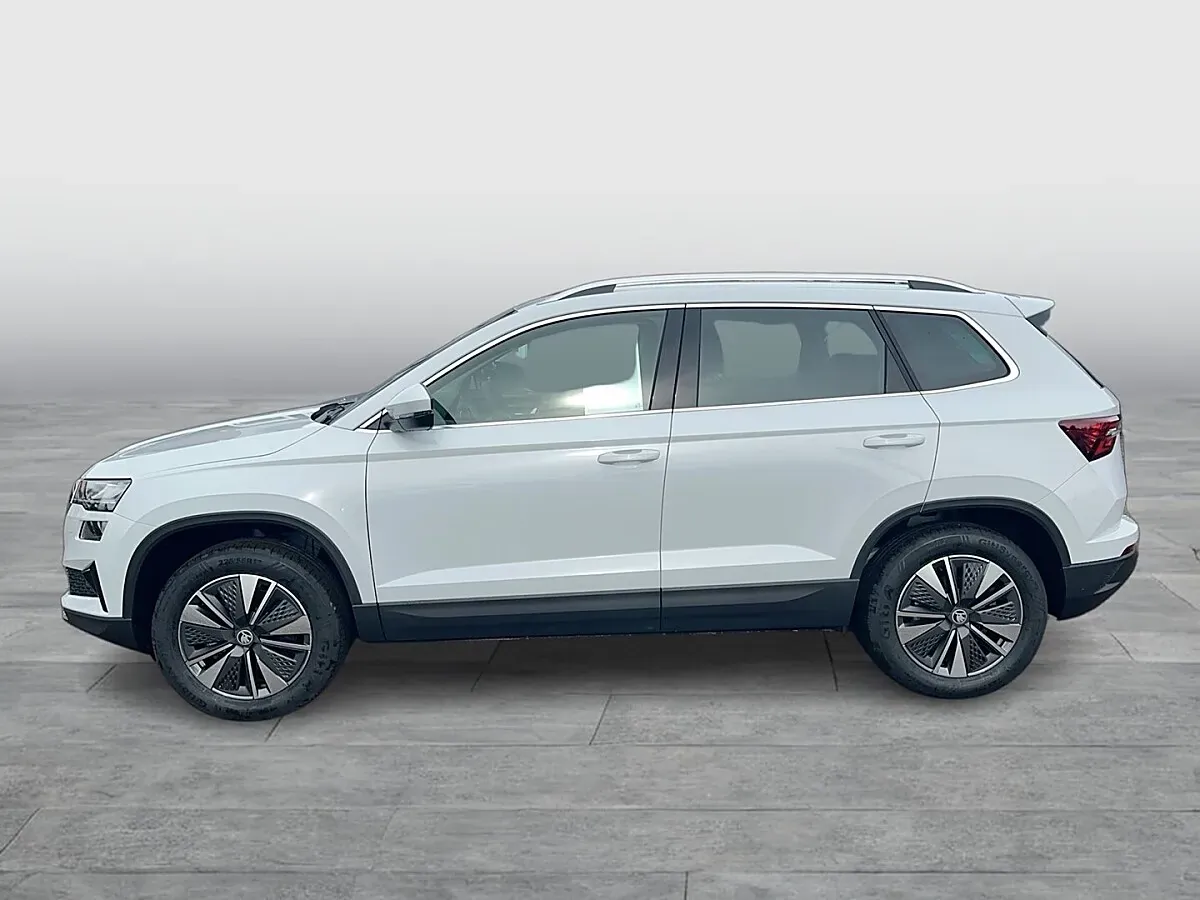 Skoda Karoq 2026 photo 2