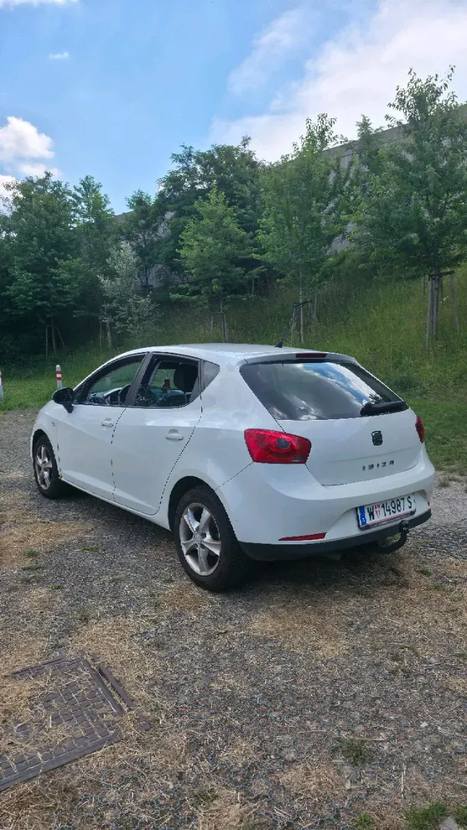 Seat Ibiza 2008 photo 3