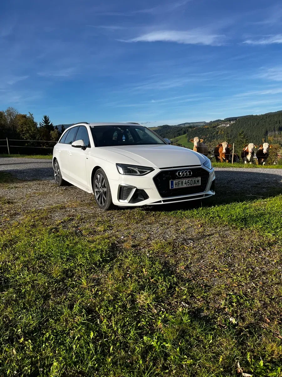 Audi A4 2022 photo 2