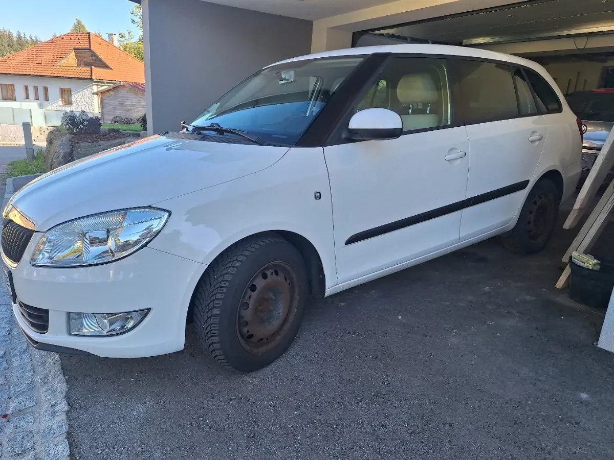 Skoda Fabia 2011 photo 2