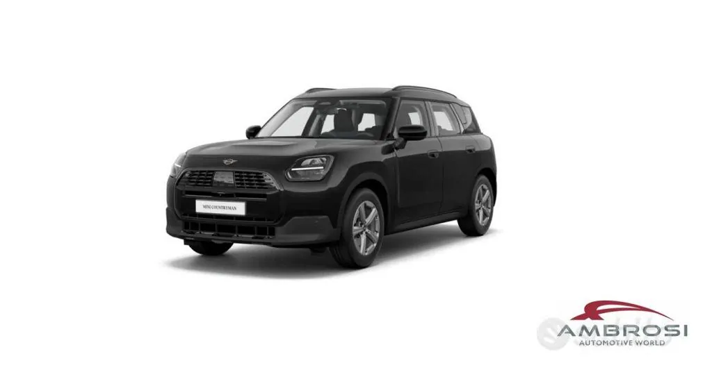 Mini Countryman