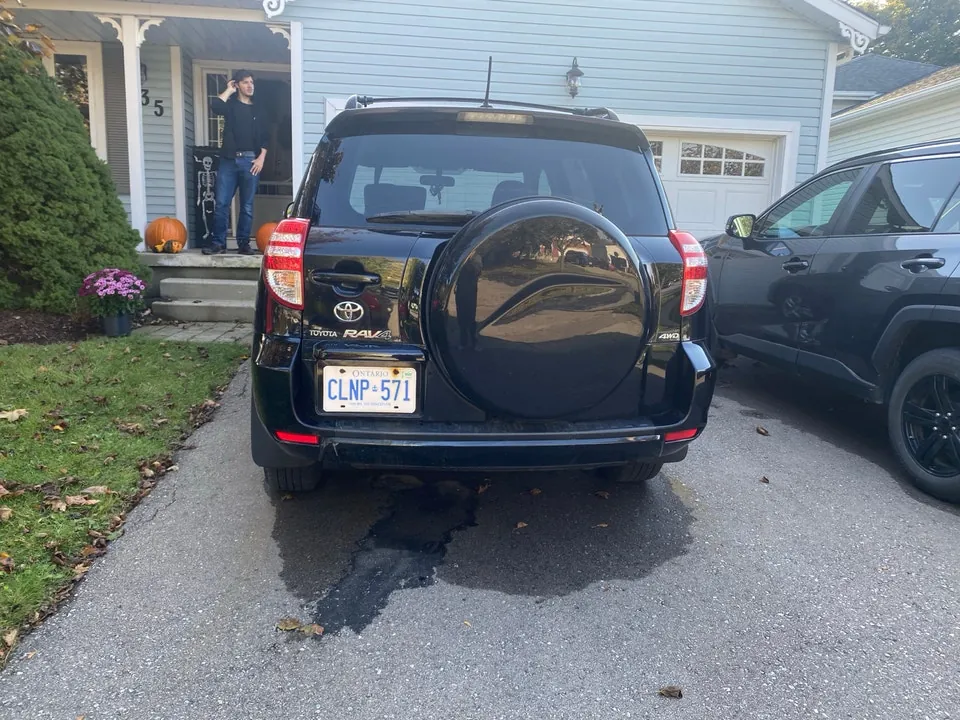 Toyota Rav4 2009 photo 2