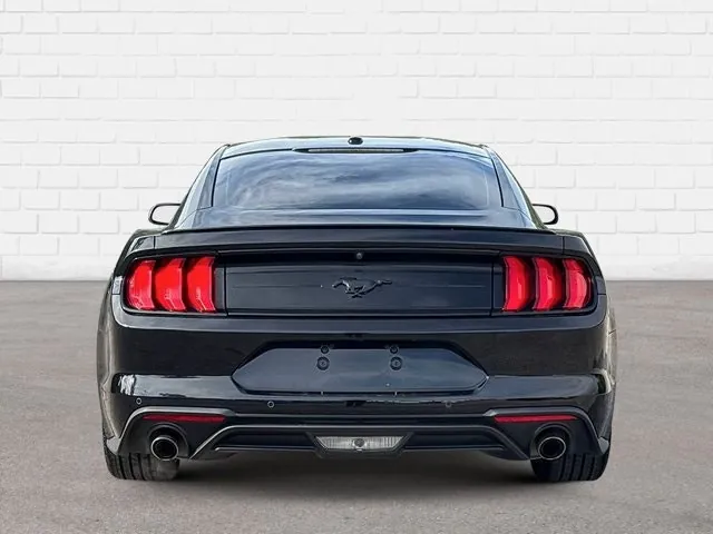 Ford Mustang 2019 photo 5