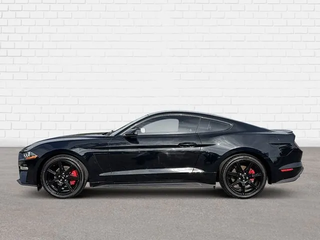 Ford Mustang 2019 photo 3