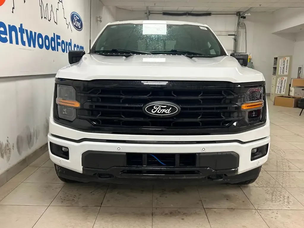 Ford F-150 2024 photo 3