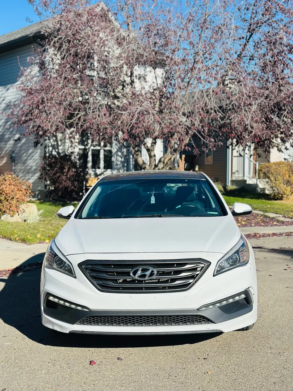 Hyundai Sonata 2016 photo 2