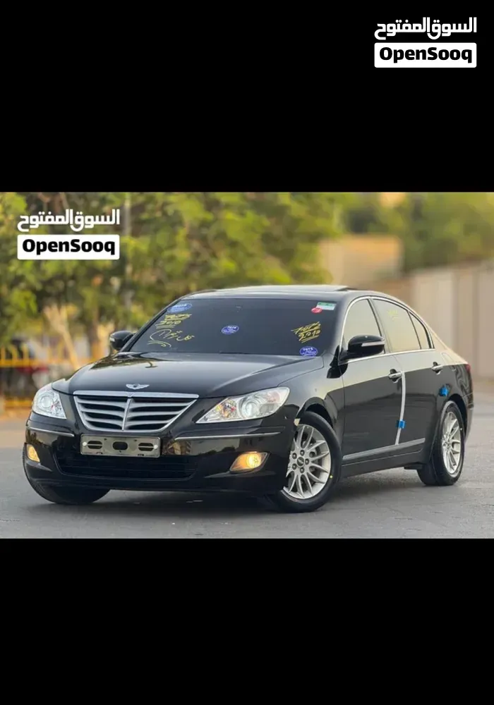 Genesis Sonata 2010 photo 3