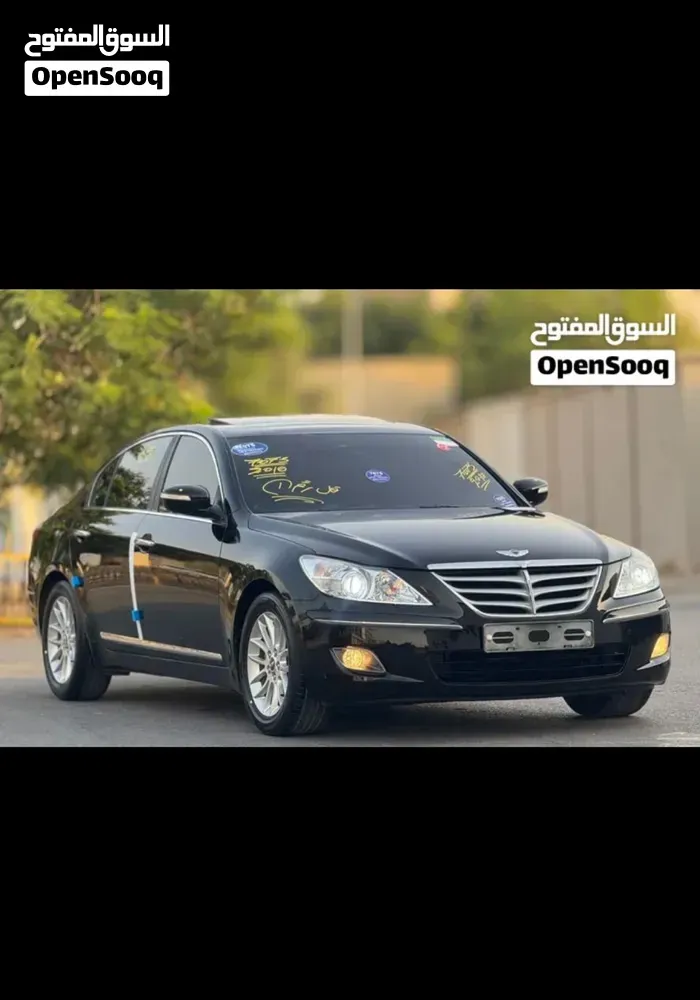 Genesis Sonata 2010 photo 2
