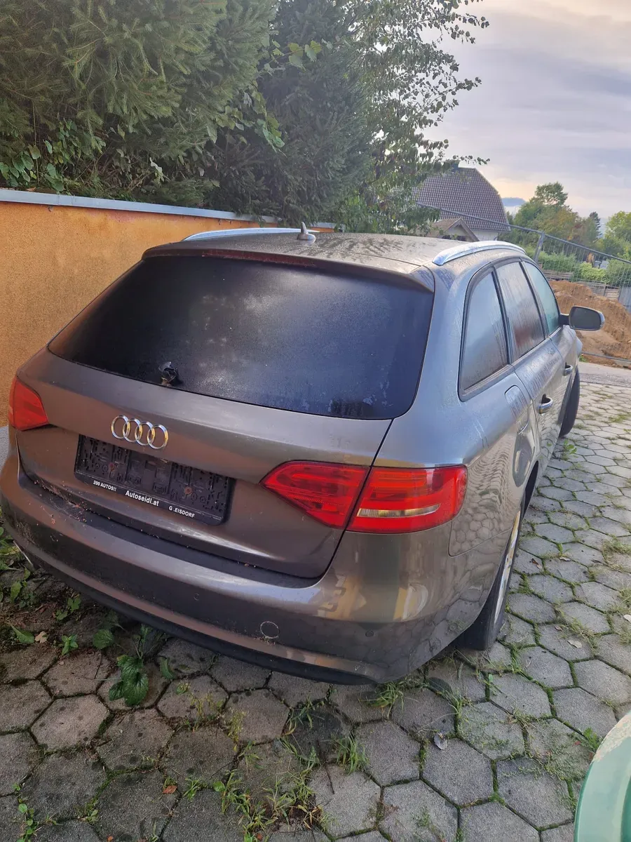 Audi A4 2015 photo 3