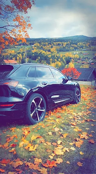 Audi E-Tron 2020 photo 3