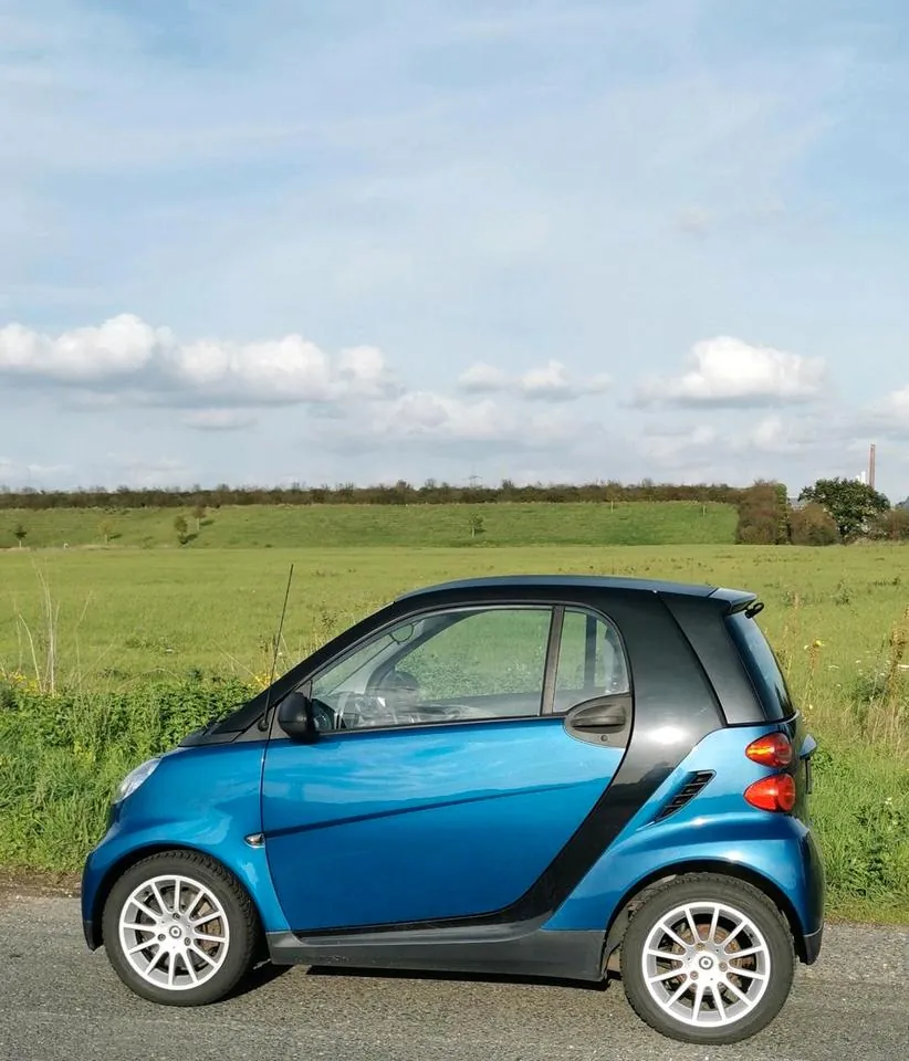 Smart 451